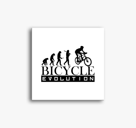 Bicycle evolution vászonkép...