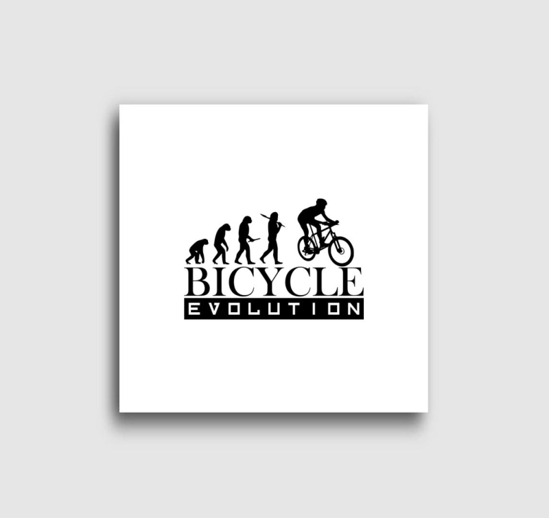 Bicycle evolution vászonkép