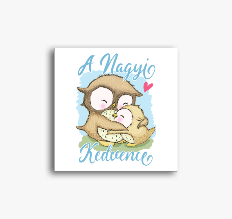 A nagyi kedvence bagoly fiús vászonkép