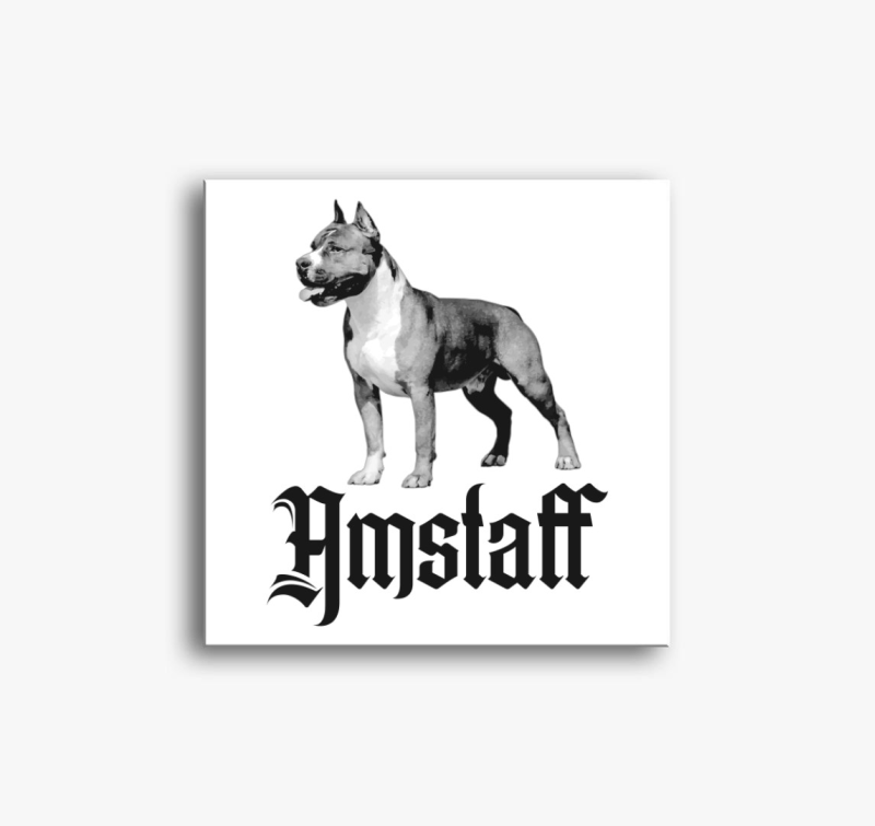 Amstaff kutya vászonkép