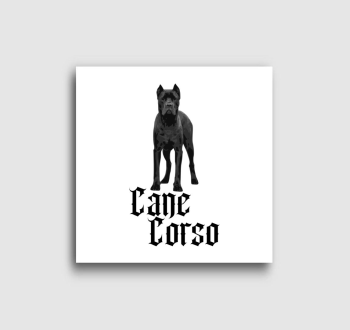 Cane Corso vászonkép