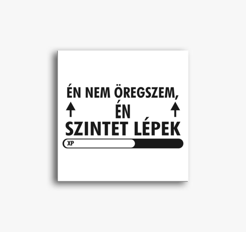 Nem öregszem szintet lépek v2 vászonkép