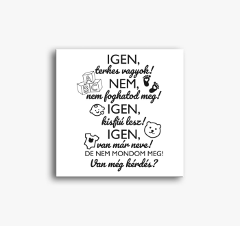 IGEN, terhes vagyok!...