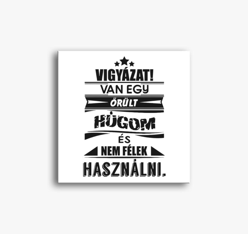 Van egy húgom vászonkép