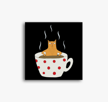 Mokkás vörös macska ...