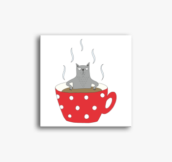 Mokkás szürke macska...