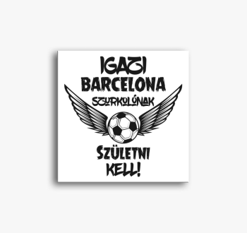 FC Barcelona szurkol...