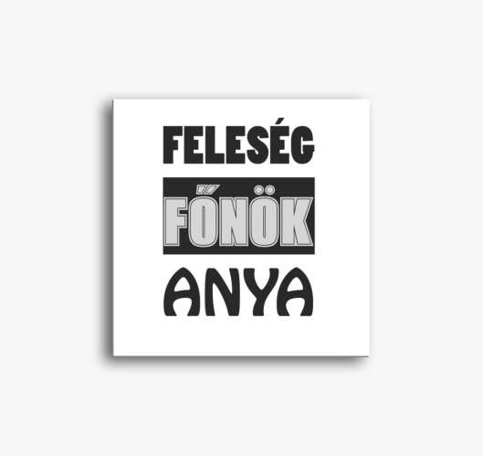 Feleség főnök anya vászonkép ...