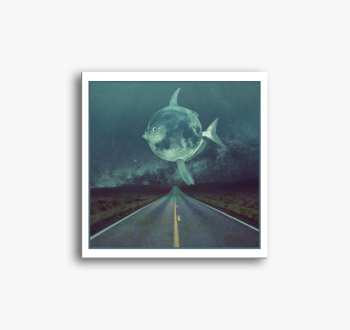 Hold hal vászonkép