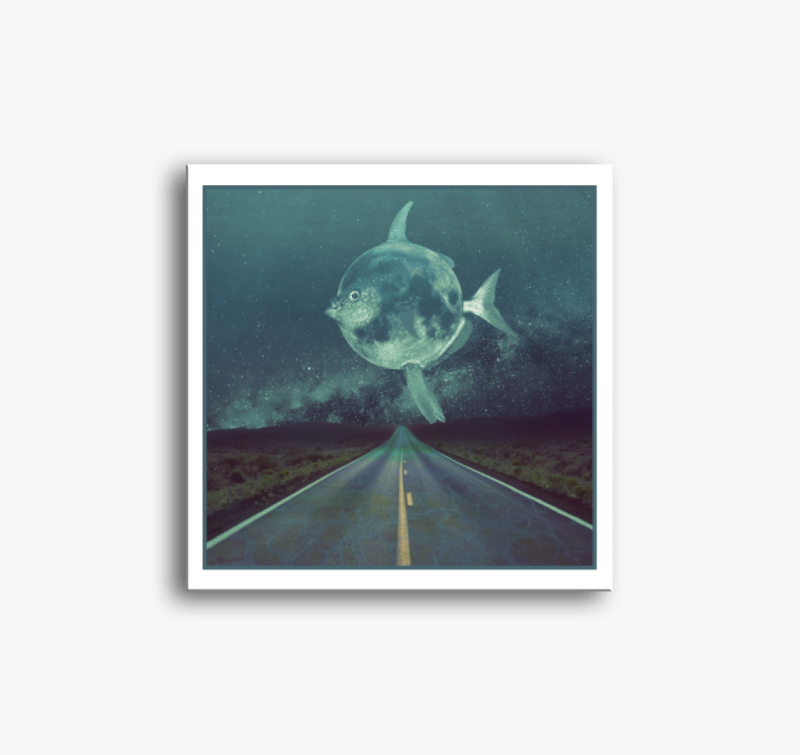 Hold hal vászonkép