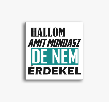 Hallom amit mondasz ...