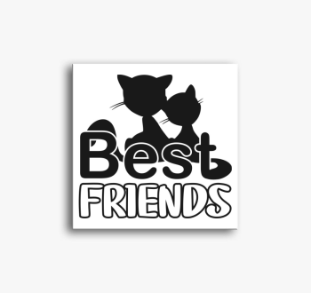 Macskás barátos vász