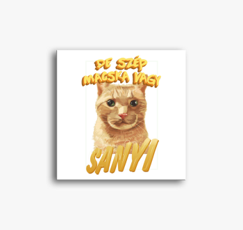 De szép macska vagy ...