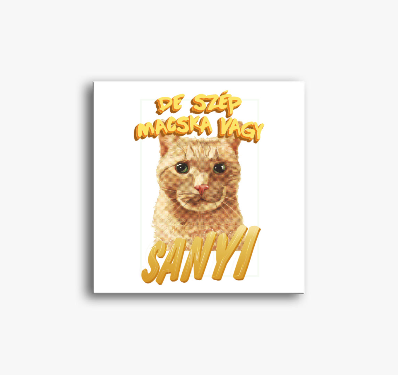 De szép macska vagy Sanyi vászonkép