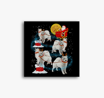 Mikulás kutyaszánon ...