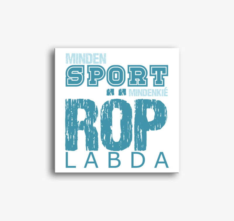 Minden sport röplabda vászonkép