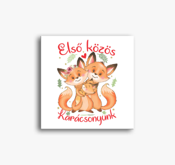 Első közös Karácsony...