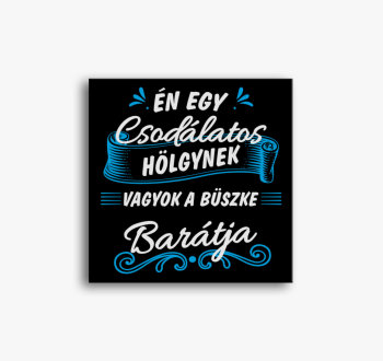 Én egy csodálatos hö...