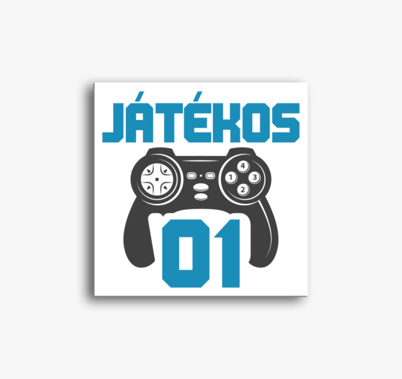 Játékos 01 gamer páros vászonkép