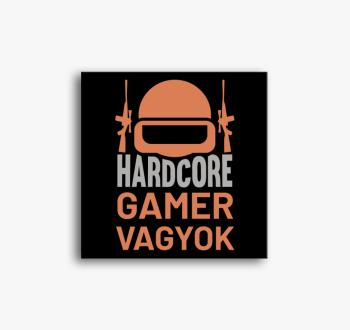 Hardcore gamer vagyo...