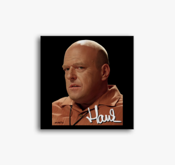 Breaking Bad - Hank ...