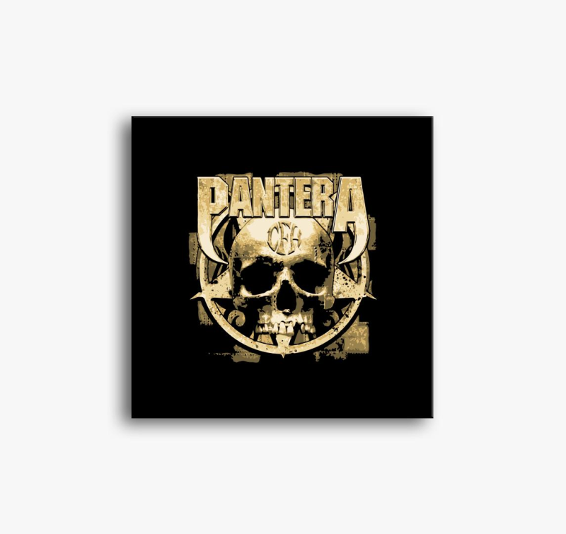 Pantera vászonkép