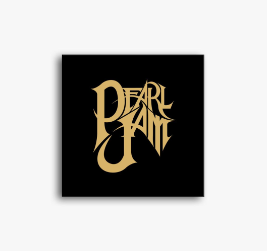 Pearl Jam 2.0 vászonkép