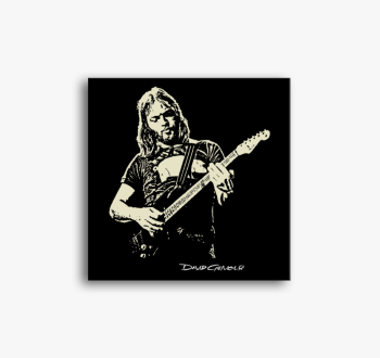 Pink Floyd-David Gil...