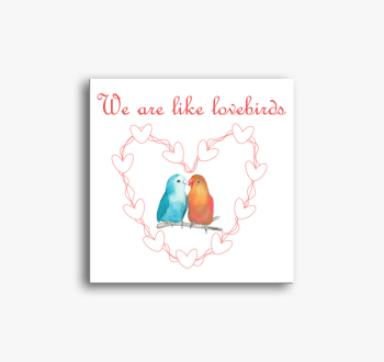 We are like lovebird...
