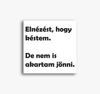 Elnézést, hogy késte...