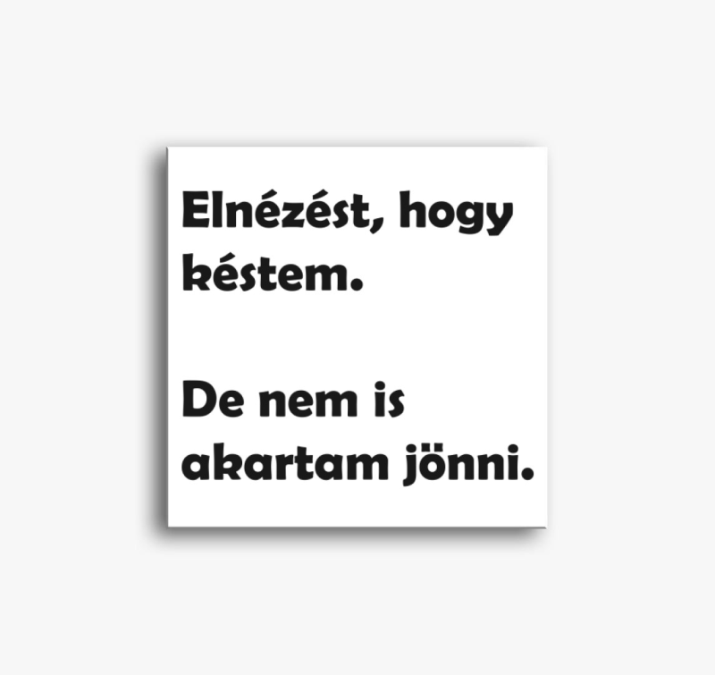 Elnézést, hogy késtem vászonkép
