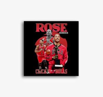 Derrick Rose vászonk