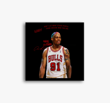 Dennis Rodman The Wo...