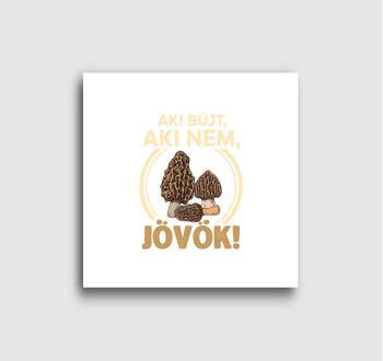 Aki bújt, aki nem, j...