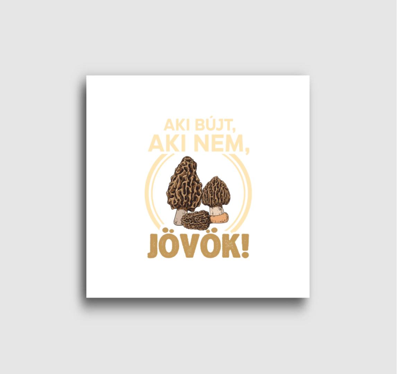 Aki bújt, aki nem, jövök! vászonkép