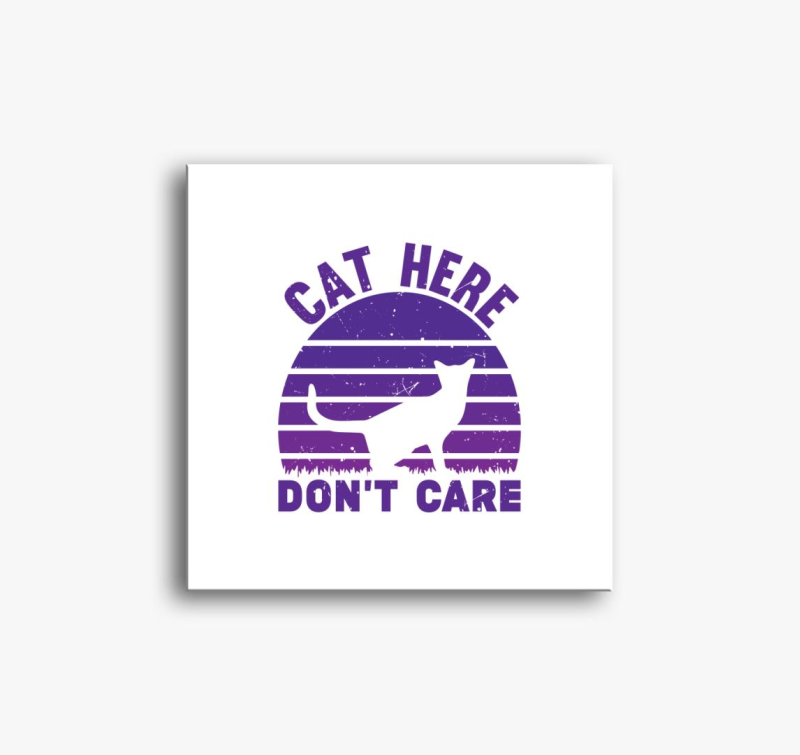 Cat here don't care vászonkép