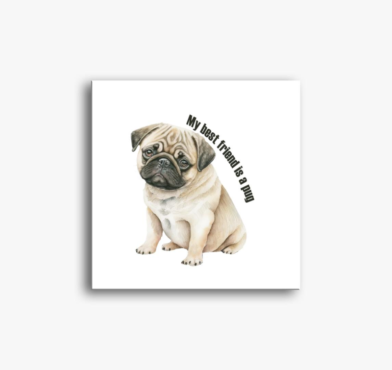 My best friend is a pug vászonkép