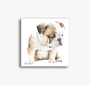 Angol bulldog vászon