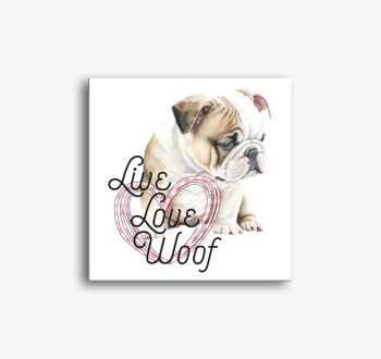 Angol bulldog Woof v