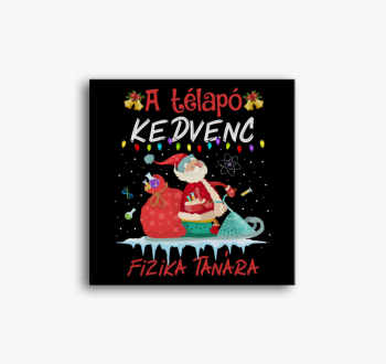 A Télapó kedvenc fiz...