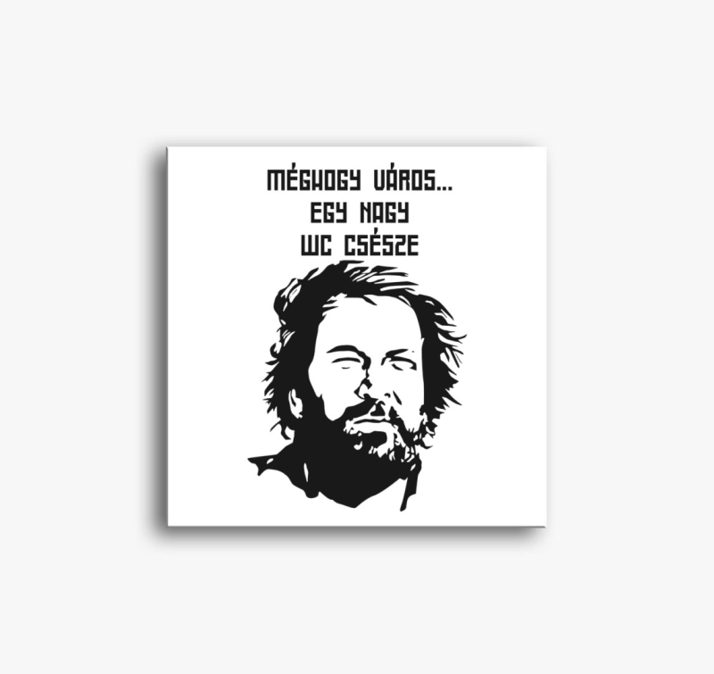 Bud Spencer a város egy WC vászonkép