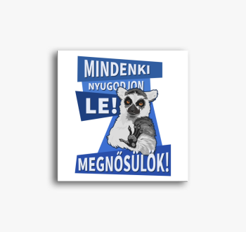 Mindenki nyugodjon l...