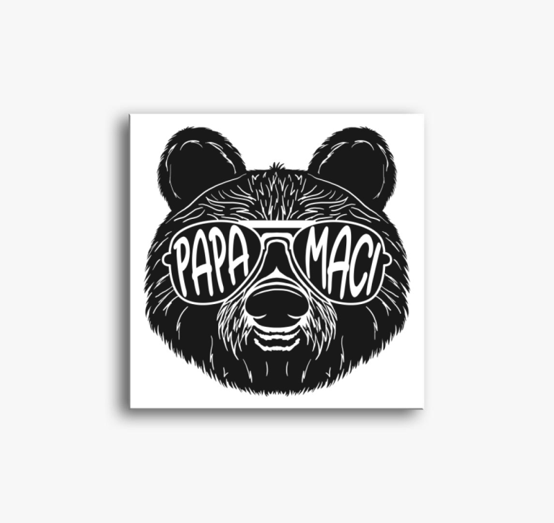 Papamaci medve fej, napszemüvegben