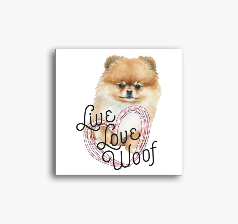 Pomerániai Spicc woof vászonkép