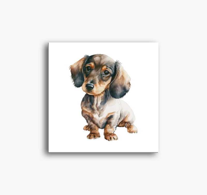 Daschund vászonkép