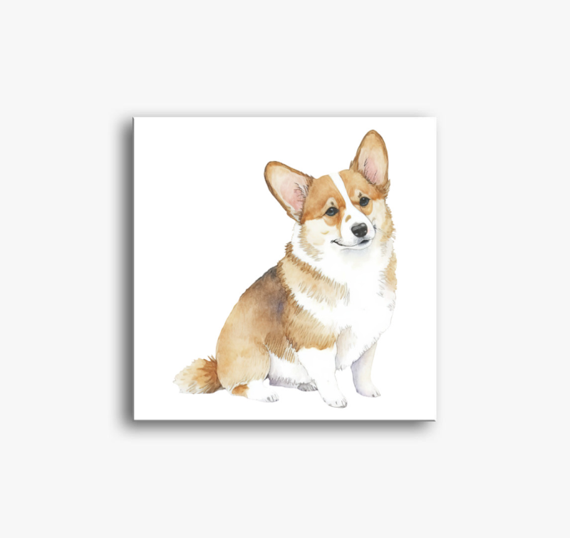 Corgi vászonkép