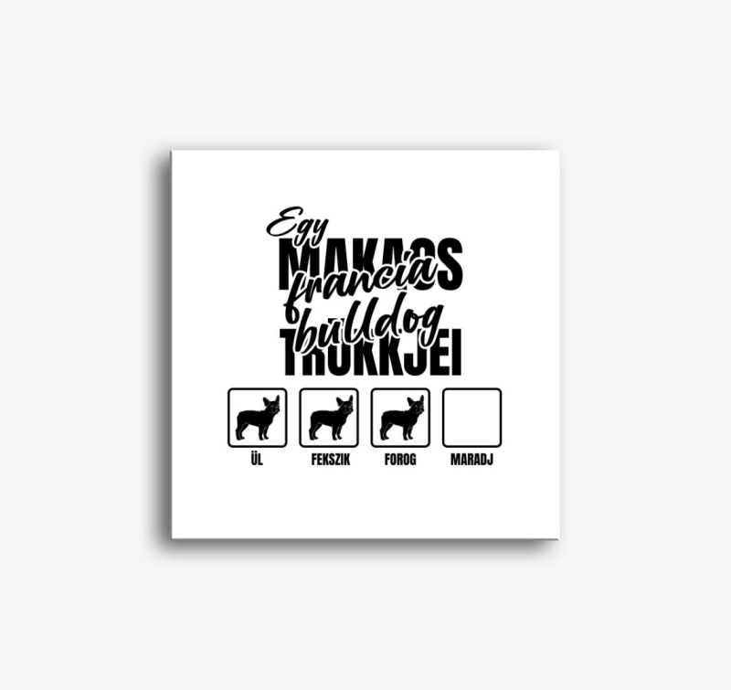 Egy makacs francia bulldog trükkjei vászonkép