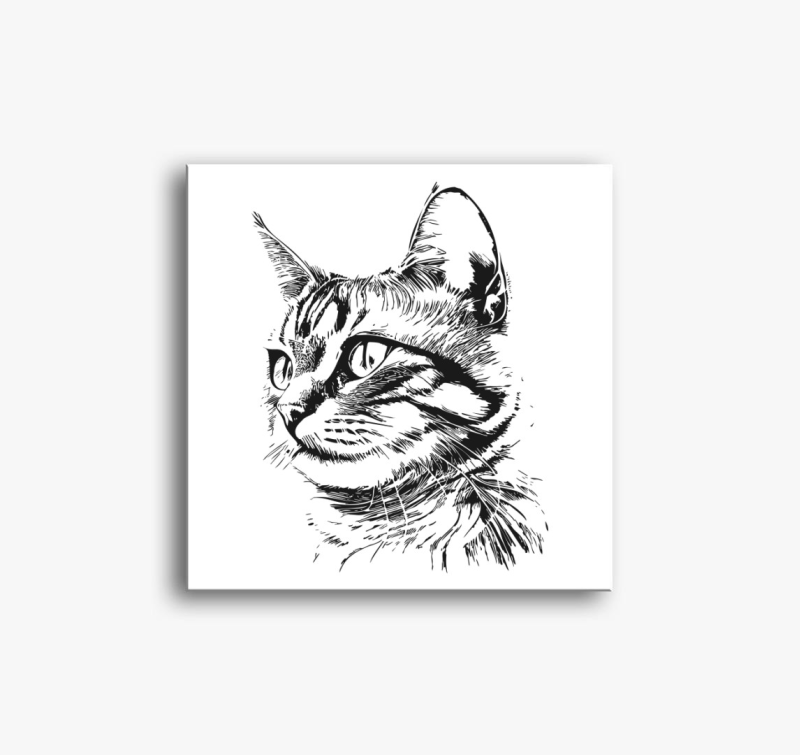 Aranyos cica 2 vászonkép