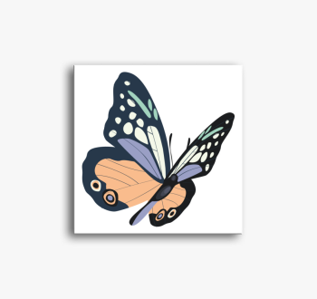 Gyönyörű pillangó vá...