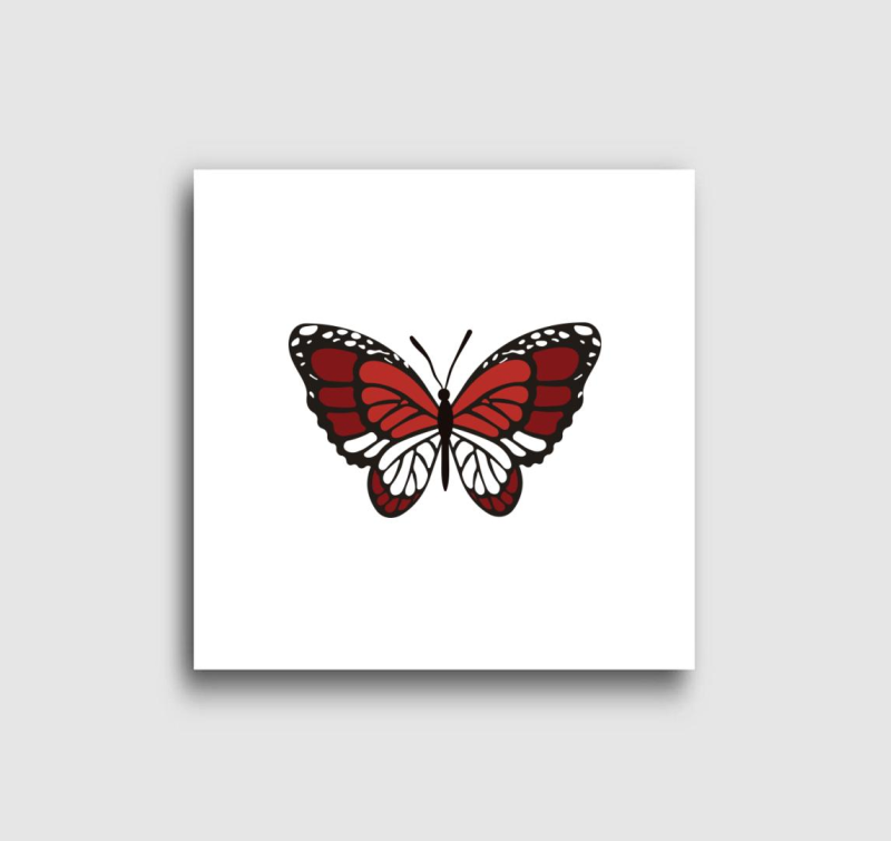 Gyönyörű piros pillangó vászonkép